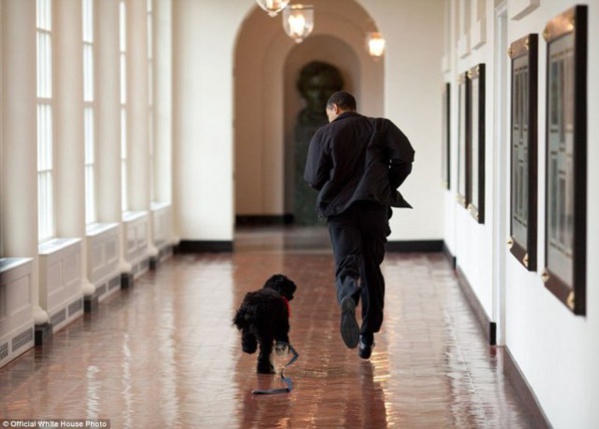 Souza photographe de la Maison Blanche qui a pris deux millions de photos d’Obama révèle ses Photos favoris