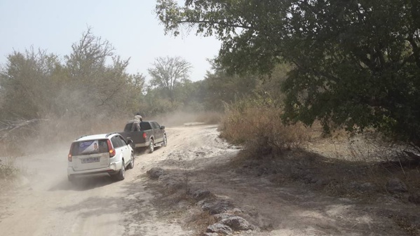 Casamance: Des Apéristes désertent le terrain, Baldé fonce dans les profondeurs de la verte région 