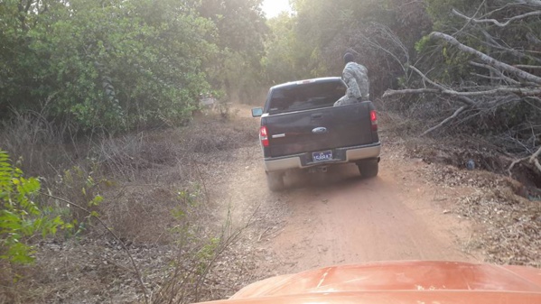 Casamance: Des Apéristes désertent le terrain, Baldé fonce dans les profondeurs de la verte région 