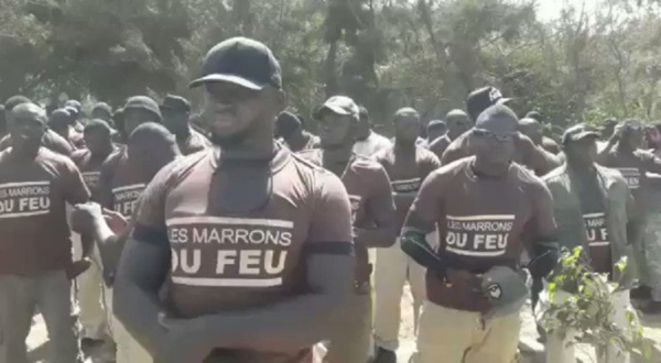 Sit-in devant le domicile de Macky Sall : 20 "marrons du feu" arrêtés 