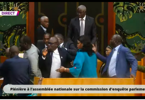 Assemblée Nationale : Thierno Alassane Sall attaqué par les députés du PDS