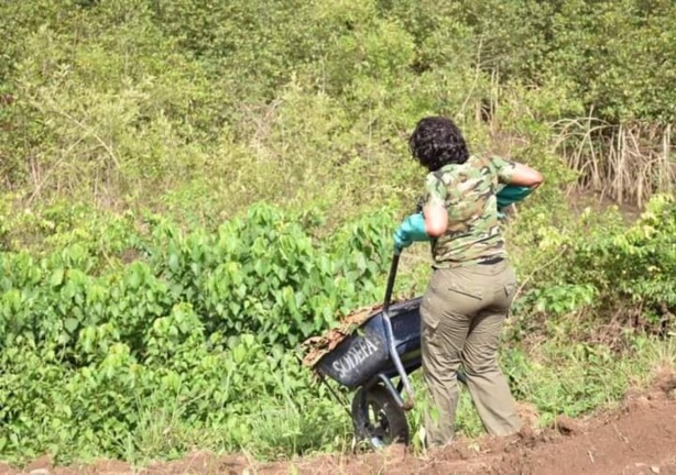 Fatoumata Camara : De la Mode à l'Agriculture, une transition inspirante en Guinée