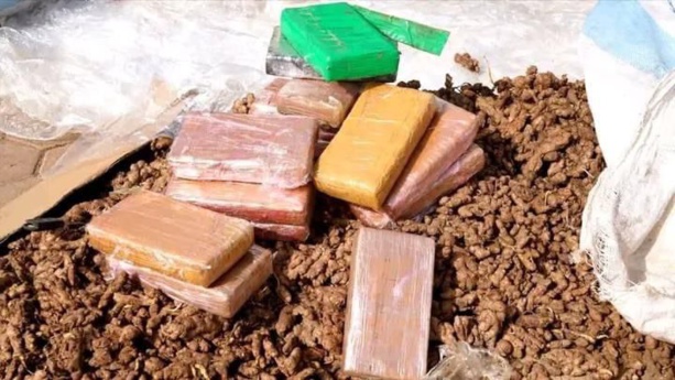 Gros Coup de Filet à l'AIBD : Saisie de Cocaïne d'une Valeur de 1,6 Milliard FCFA