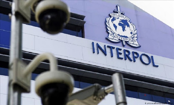 Criminalité Financière : Interpol arrête 300 suspects et bloque 720 comptes bancaires en Afrique de l'Ouest