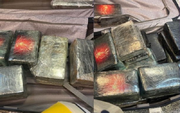 Saisie de Drogue à l'AIBD : 40,3 kg de Cocaïne Interceptés par les Douanes