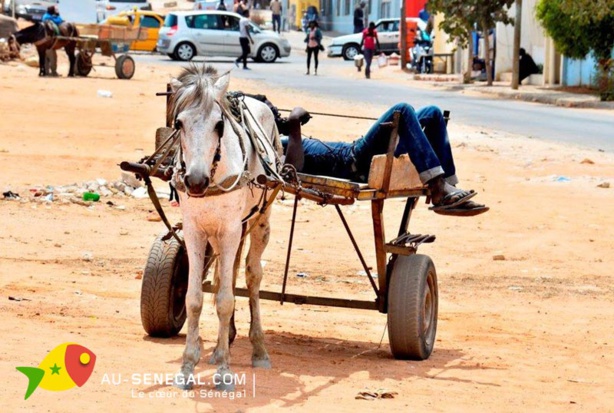 Dakar : Nouveau plan de circulation à partir de lundi avec interdiction des charrettes