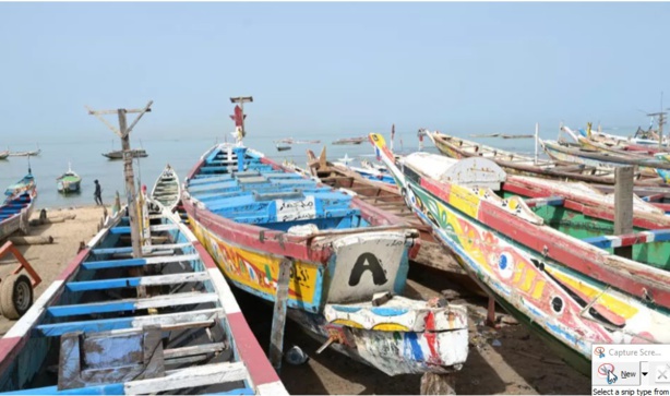 Tragédie au large de Dakar : 30 corps découverts dans une pirogue