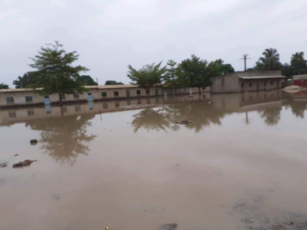 Inquiétudes pour la rentrée scolaire à Ziguinchor : Écoles envahies par les herbes et les eaux stagnantes