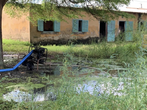 Rentrée scolaire à Ziguinchor : des conditions alarmantes dans plusieurs établissements