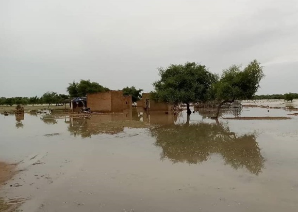 Inondations à Dodel : un village sous l'eau, l'appel à l'aide de Lamtooro Sall