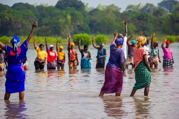 Sédhiou : Les femmes en première ligne pour sauver la mangrove