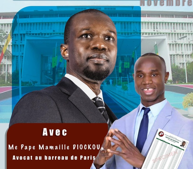 Législatives : Me Pape Mamaille Diockou félicite le peuple Sénégalais et rend hommage à Ousmane Sonko