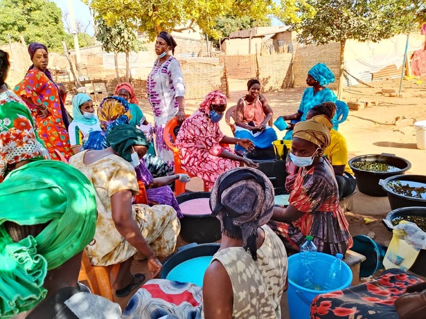 Sédhiou / Autonomisation des femmes : Le PASTEF prend une longueur d'avance