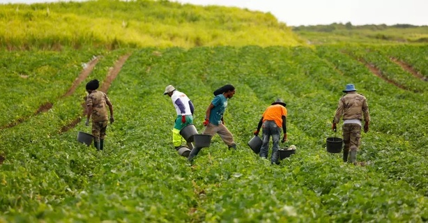 Travail saisonnier en Espagne : un programme sous le feu des critiques au Sénégal