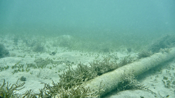 Mer Baltique : Un câble sous-marin Suède-Lettonie endommagé, suspicions de sabotage