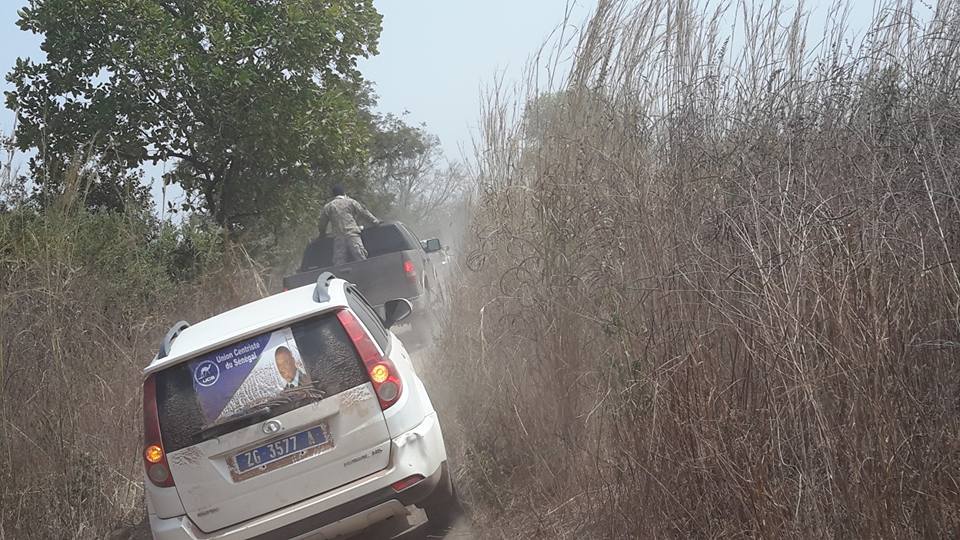 Casamance: Des Apéristes désertent le terrain, Baldé fonce dans les profondeurs de la verte région 