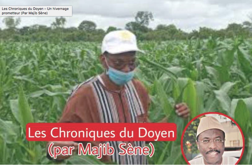 Les Chroniques du Doyen – Un hivernage prometteur (Par Majib Sène)