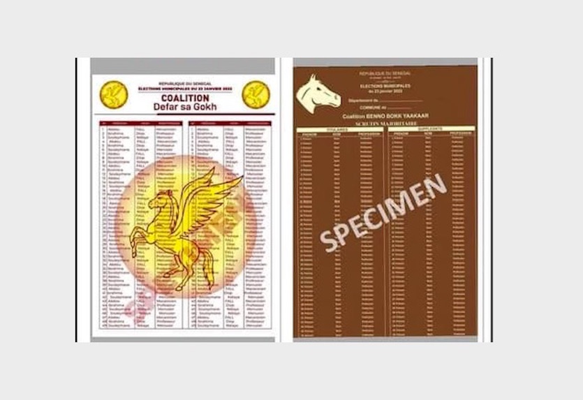 Rejet de la liste de « Défar sa gokh » sur la base de couleurs et de symboles : la CENA fait la leçon aux autorités administratives