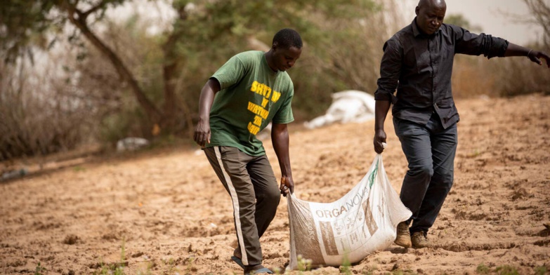 Sénégal : Baisse significative des prix des engrais