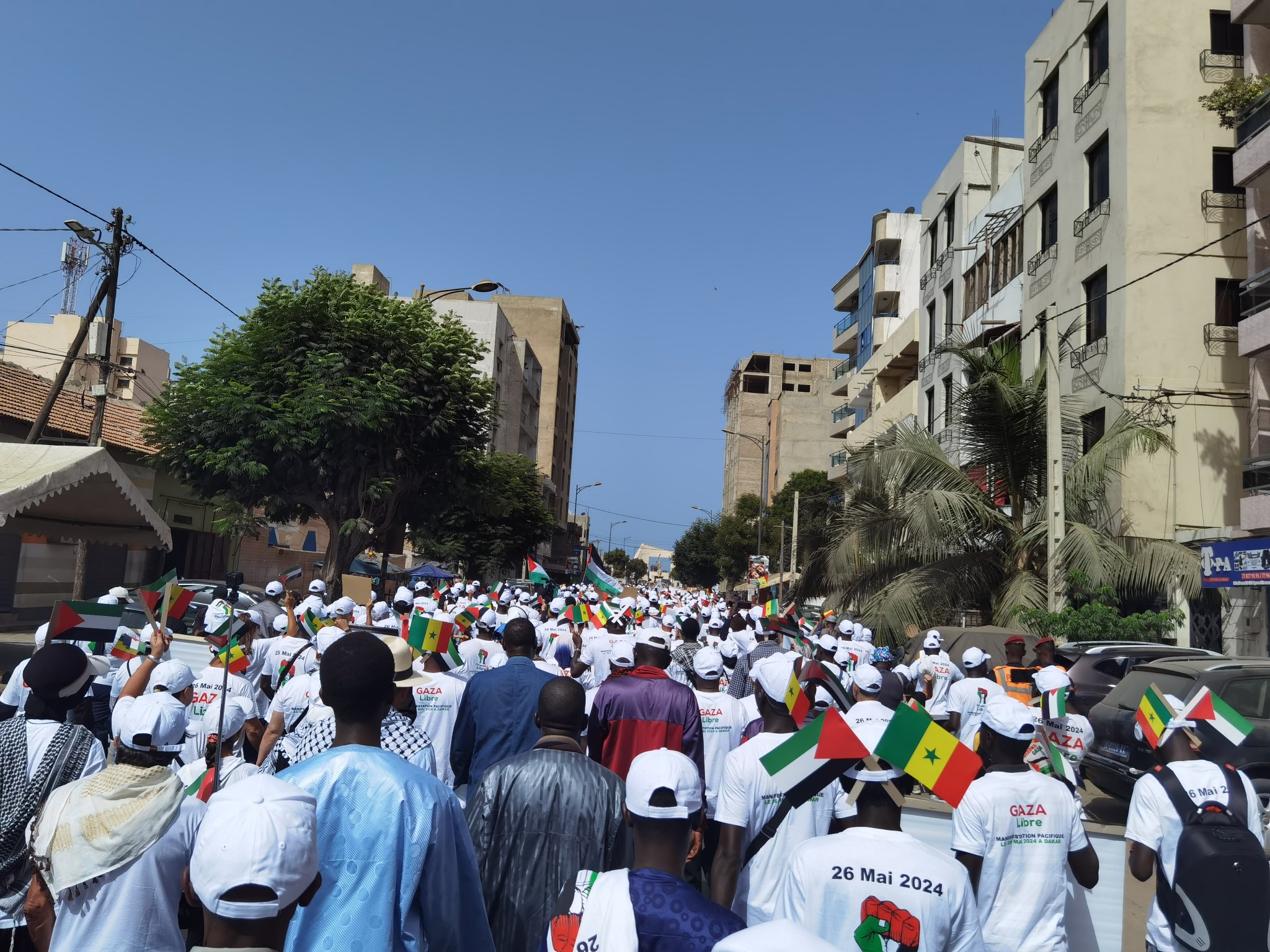 Marche de Solidarité avec la Palestine à Dakar : Les Sénégalais dénoncent les bavures de l'armée Israélienne