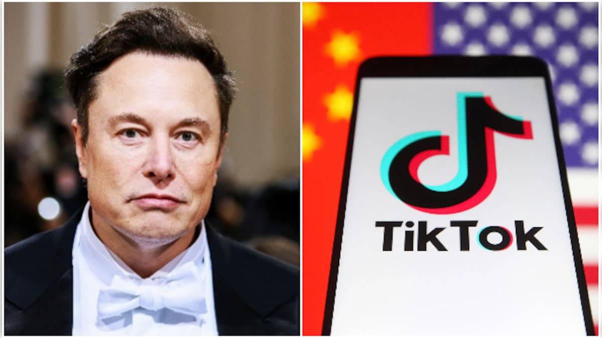 Elon Musk en route pour le rachat de "TikTok" : Un Nouveau pari audacieux