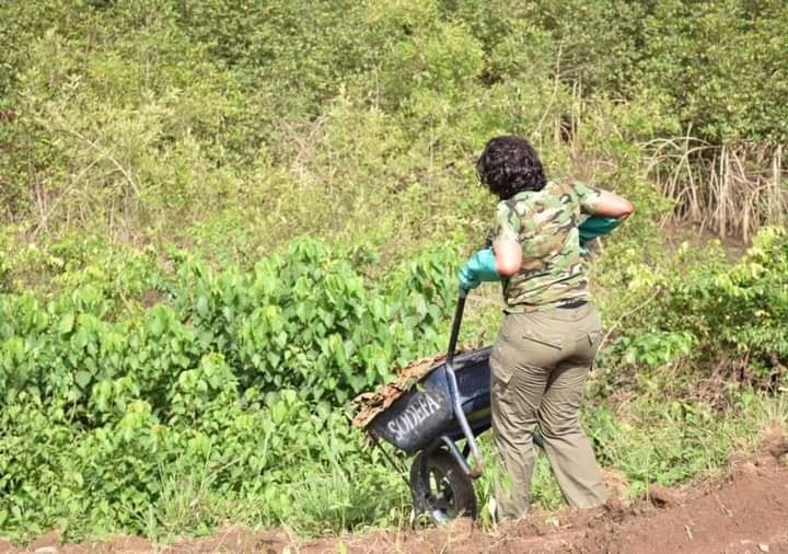 Fatoumata Camara : De la Mode à l'Agriculture, une transition inspirante en Guinée