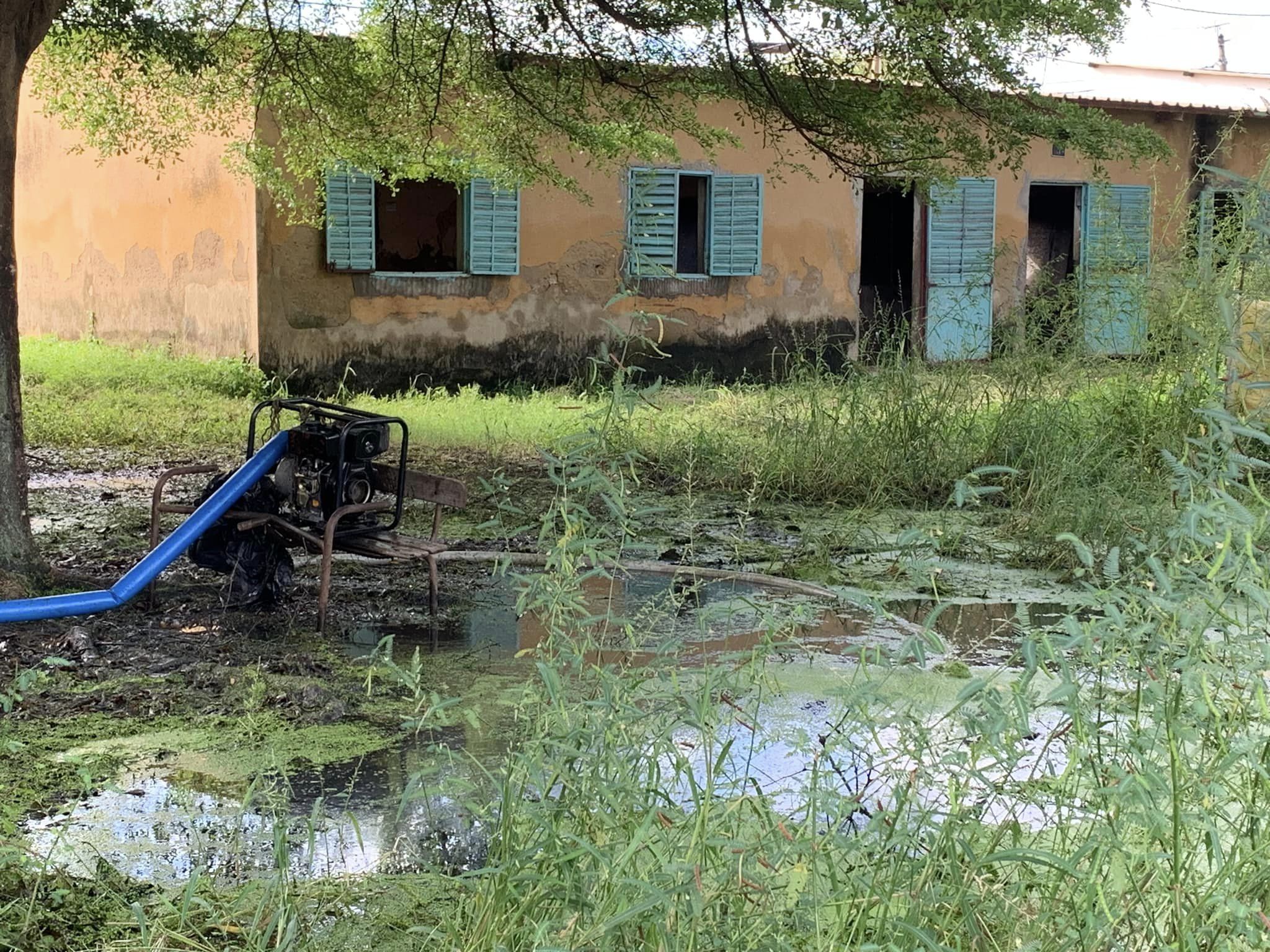 Rentrée scolaire à Ziguinchor : des conditions alarmantes dans plusieurs établissements