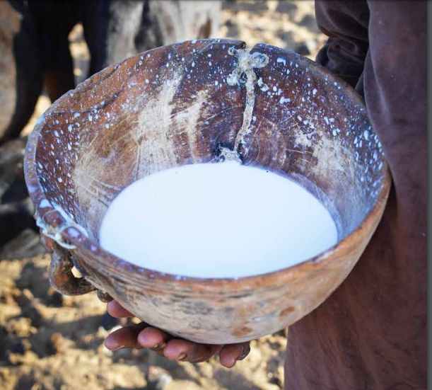 Boire du lait quotidiennement : bon ou mauvais pour la santé ?