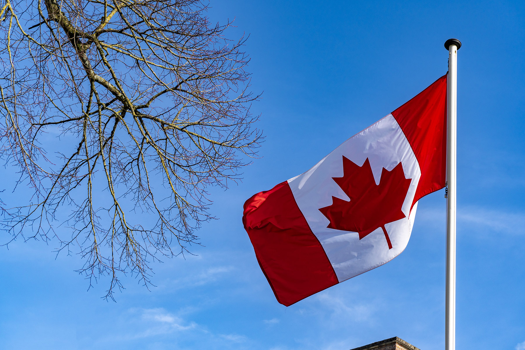 La détresse des étudiants sénégalais au Canada doit être entendue (Par Khady Samb)