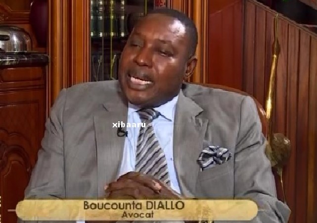 Me Boucounta Diallo : « si Macky Sall gracie Karim Wade, il aura pose un acte très grave! »