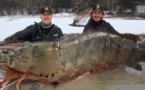 Des pêcheurs canadiens attrapent une crevette avec un record de 145 kilos