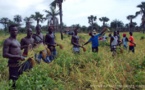 Bignona: 50 jeunes participent au camp d'agro-écologie