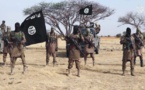 Nigeria : Près de 6000 combattants de Boko Haram ont déjà déposé les armes (armée)