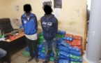 Saisie record de 196 kg de chanvre indien à Kaolack : Deux suspects interpellés