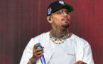 Afrique du Sud: pétition contre un concert de Chris Brown