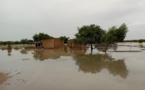 Inondations à Dodel : un village sous l'eau, l'appel à l'aide de Lamtooro Sall