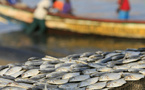 Les bateaux européens vont cesser de pêcher au large du Sénégal