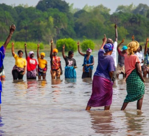 Sédhiou : Les femmes en première ligne pour sauver la mangrove