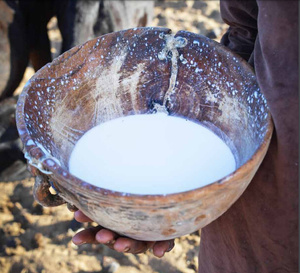 Boire du lait quotidiennement : bon ou mauvais pour la santé ?