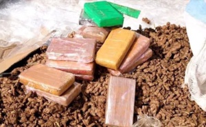 Gros Coup de Filet à l'AIBD : Saisie de Cocaïne d'une Valeur de 1,6 Milliard FCFA