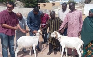 Solidarité : "Direct Aid Society" lance le programme Tabaski avec un don de 110 moutons