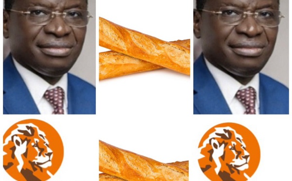 Dr Serigne Gueye Diop, l’homme accusé d’avoir ôté le pain de la bouche des Grands Moulins et autres meuniers (Par Youssoufa Sarr )